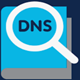 Find DNS Record